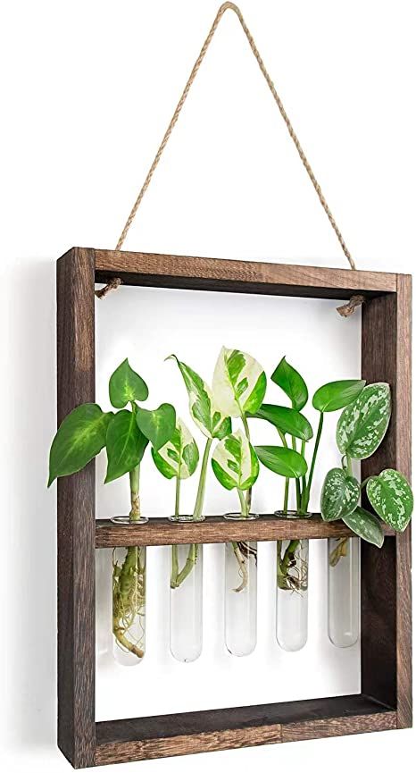 Test Tube Crafts, Hanging Glass Planters, Home Garden Wedding, Test Tube Vase, Plants Home, Hydroponic Plants, Garden Wedding Decorations, Glass Planter, Glass Terrarium