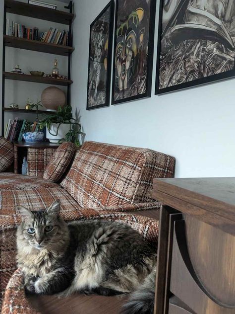 Brown plaid couch with cat sitting next to it and framed art on white wall Art On White Wall, French Glass Doors, Plaid Couch, Plaid Sofa, A Studio Apartment, Furniture Apartment, Moving Apartment, French Glass, Glass French Doors