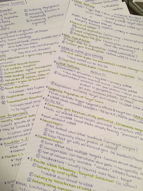 Research Paper Aesthetic, Finals Week Aesthetic, Finals Aesthetic, Revision Motivation, Study Paper, Studying Notes, Notes Study, Handwriting Examples, Study With Me