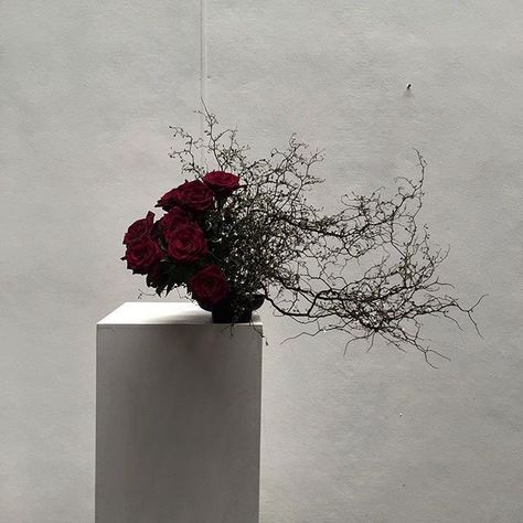 Lisa Cooper, Arreglos Ikebana, Ideas For Flowers, Floral Art Arrangements, Modern Bouquet, Sogetsu Ikebana, Corporate Flowers, Ikebana Arrangements, Flora Design