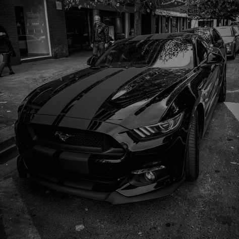 Siyah Mustang, Black Mustang Gt, Tmax Yamaha, Black Mustang, Mustang Wallpaper, Mustang Car, Ford Mustang Car, Mustang Cars, Classy Cars