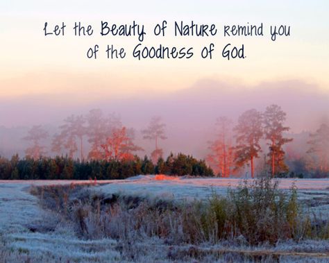 Nature quote about the beauty of Nature and the goodness of God. God's Creation Quotes Nature, Explore Quotes Nature, Mountain Quotes Nature, Save Nature Quotes, Nature Quotes Beautiful, Creation Quotes, Nature Quotes Inspirational, Nature Quote, Nature Quotes Adventure