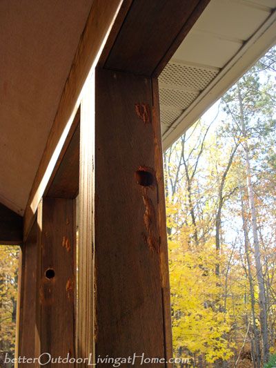 The woodpeckers were having a field day drilling into the wood of this back porch. The new repairs have made the porch beautiful again and will hopefully deter the woodpeckers. Click on the link to see more photos, and how the repairs were made. Wood Porch Posts, Wood Porch, Porch Posts, Into The Wood, Woodpeckers, Field Day, The Porch, Cedar Wood, Back Porch