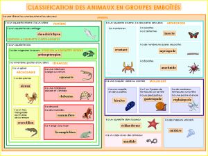 La NOUVELLE classification des animaux Animal Classification Worksheet, Animal Classification, Fun Facts About Animals, French Immersion, Cycle 3, Teacher Mom, Science Education, Science For Kids, Science And Nature