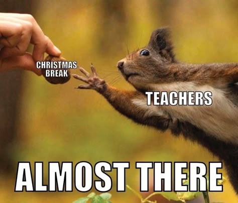 Thanksgiving Break Quotes Teacher, Teachers Christmas Break Humor Hilarious, Teachers In December Funny, Teacher Message, Teacher Funnies, Teacher Humour, Teacher Memes Funny, Teacher Prayer, Teaching Memes