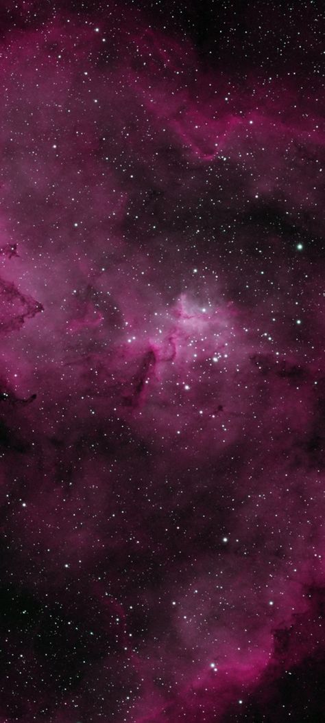 Melotte 15 in the Heart of the Heart Nebula by Daniel Pastenak cropped mobile wallpaper 1080x2400 Pink Galaxy Wallpaper, Galaxy Wallpaper 4k, Pink Galaxy Background, Pink Constellation, Heart Nebula, Pink Nebula, Galaxy Hd, Planet Project, Purple Nebula