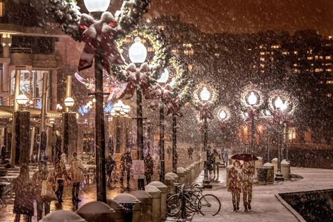 15 Winter Things to Do in Georgetown | Georgetown DC - Explore Georgetown in Washington, DC Dc In Winter, Georgetown Dc, Outdoor Ice Skating, Winter Things, Georgetown University, Mormon Temple, Cozy Fireplace, 2025 Vision, Holiday Lights