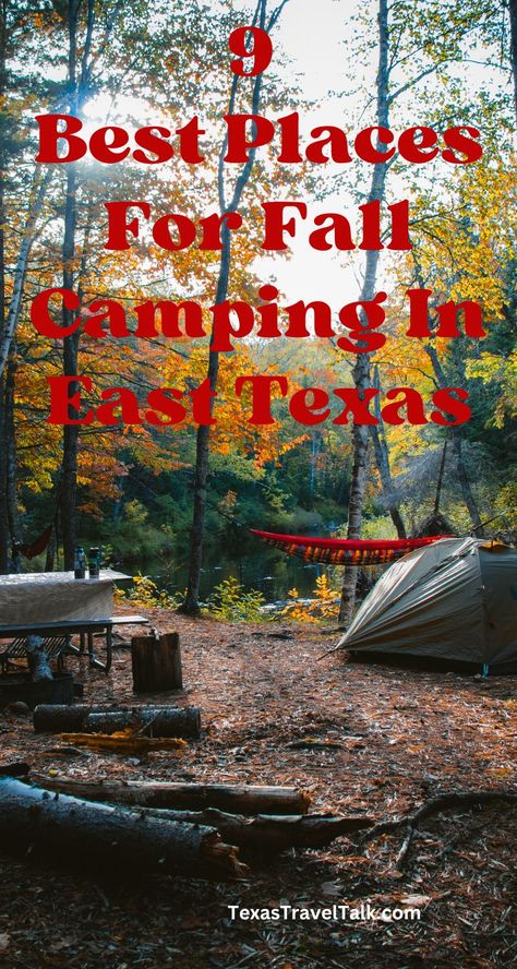 Texas Camping Spots, Camping Texas, Texas Camping, Caddo Lake State Park, Hiking In Texas, Yurt Camping, Romantic Camping, Texas Tea, Camping In Texas