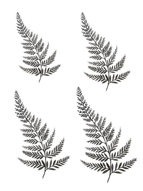 Fern Graphic Design, New Zealand Leaf Tattoo, Fineline Fern Tattoo, New Zealand Fern Tattoo Design, Fern Collar Bone Tattoo, New Zealand Fern Tattoo, Small Fern Tattoo, New Zealand Tattoo Ideas, Fern Leaf Tattoo