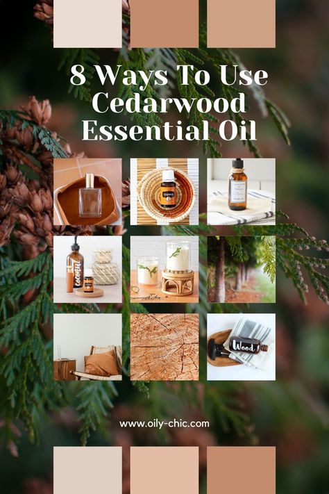 There are many uses for cedarwood essential oil. I'll share with you a pillow spray, cedar sachets, hair mist, and more. Cedarwood Essential Oil Uses, Essential Oil Cologne, Diy Essential Oil Recipes, Making Essential Oils, Perfume Recipes, Essential Oil Spray, Essential Oils For Sleep, Pillow Spray, Essential Oils Gifts