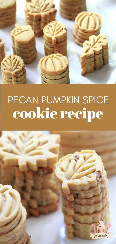 Pecan Pumpkin Spice Cookies, Pumpkin Spice Rollout Cookies, Pecan Cutout Cookies, Pumpkin Spice Biscuits, Pumpkin Spice Shortbread, Chex Mix Recipes Autumn, Pecan Sugar Cookie Recipe, Pumpkin Spice Cutout Cookies, Pumpkin Cutouts Cookies