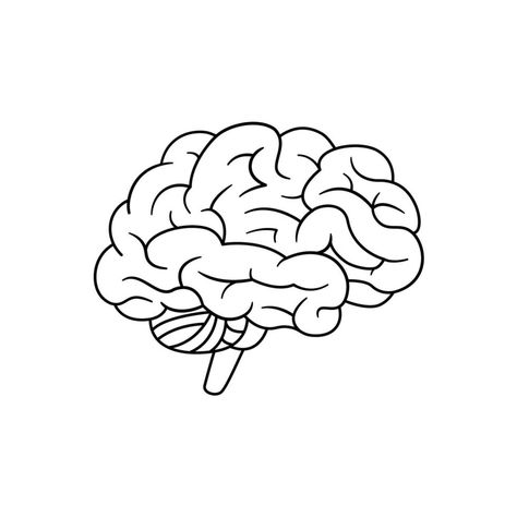 Human brain icon vector isolated Brain Drawing Simple, Brain Icon, Brain Drawing, The Human Brain, Drawing Simple, Human Brain, Vector Art, Brain, Vector Free