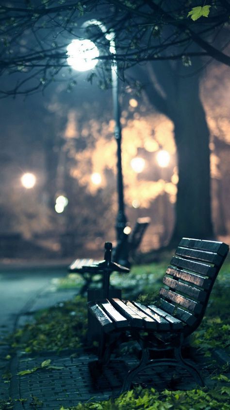 Lonely Nights Park At Night, Park Benches, Park Photography, Rainy Night, Street Lights, Photography Gallery, Street Light, Girlfriend Boyfriend, Image Hd