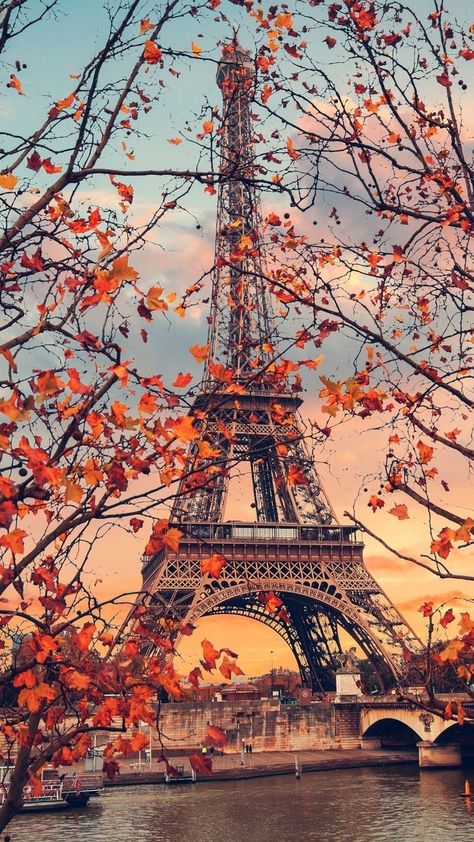 White Flower Wallpaper, Autumn Leaves Wallpaper, November Wallpaper, France Eiffel Tower, Paris Painting, Iphone Wallpaper Stills, Paris Wallpaper, Iphone Wallpaper Fall, Gorgeous Scenery