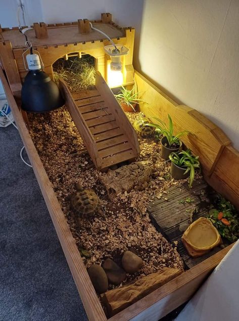 Turtle Table Tortoise Habitat, Tortoise Tank Ideas, Tortoise Vivarium, Tortoise Home, Sprout House, Turtle Table, Turtle Tanks, Turtle House, Tortoise House