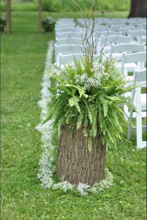 Hosta Wedding Decor, Ferns For Wedding Ceremony, Wedding Ferns Decor, Ferns Wedding Decor, Fern Centerpiece Wedding, Fern Wedding Decor, Enchanted Forest Wedding Theme, Fern Wedding, Holly Wedding