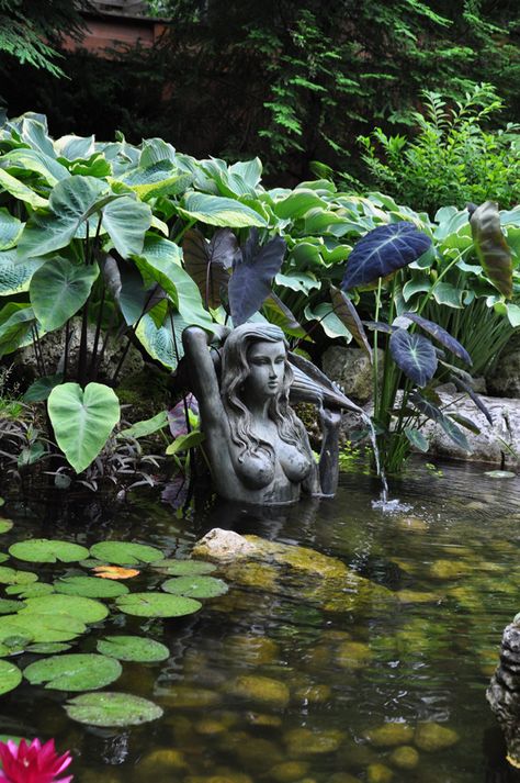 Fish Ponds Backyard, Pond Waterfall, Meditation Garden, Pond Water Features, Fountain Design, Pond Fountains, Have Inspiration, Water Features In The Garden, Ponds Backyard