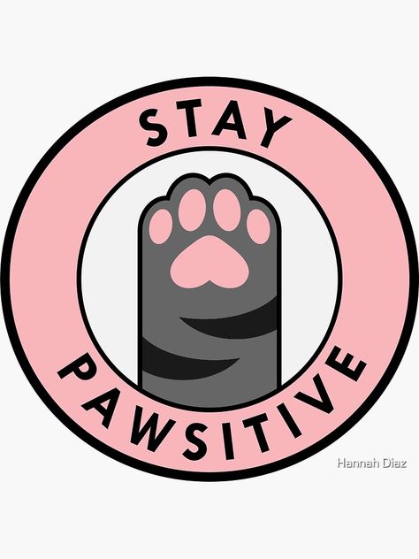 Cat Svg Free, Svg Free Files For Cricut, Stay Pawsitive, Cute Motivational Quotes, Silhouette Design Studio, Cat Svg, Cricut Projects Beginner, Funny Bunnies, Cat Quotes