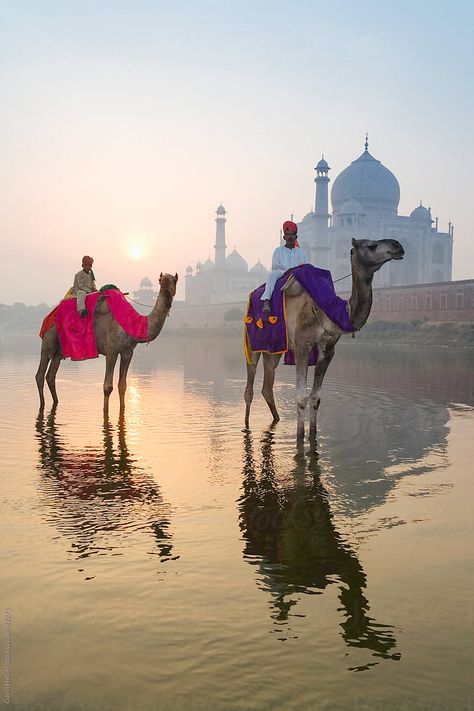 Beaches Aesthetic, Tac Mahal, Taj Mahal India, India Photography, The Taj Mahal, Old Building, Uttar Pradesh, Incredible India, Beach Aesthetic