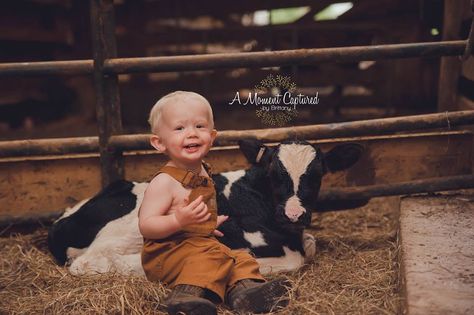 Carhartt baby. farm baby. calf and baby. farm photoshoot Farm Photoshoot Ideas Kids, Mini Cow Photoshoot, Calf Photoshoot, 6 Month Photo Ideas, Cow Photoshoot, Farm Life Photography, Farm Photoshoot, Farm Photos, Cow Photos