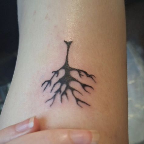 poison tree ¿ ☆ follow and save for more tats by me! #poisontree #xxxtentacion🔥 #tattooink #tattooindy #kneetat Tree Knee Tattoo, Poison Tree, Knee Tattoo, Self Taught, Tree Tattoo, Future Tattoos, Ink Tattoo, Tatting, Instagram Profile