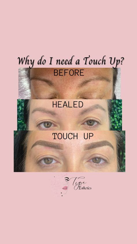 Microshading, Ombré powder brows touch up importance. Ombre Powder Brows Healing Process, Powder Brows Healing Process, Ombre Brows, Powder Brows, Dark Brows, Cosmetic Tattoo, Healing Process, Touch Up, Eyebrows