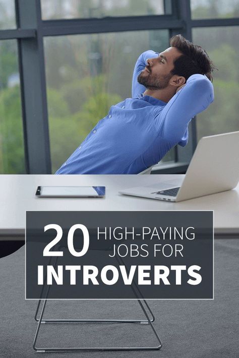 Twenty High Paying Jobs For Introverts | Personality Club Jobs For Introverts, Typing Jobs From Home, High Paying Careers, Amazon Work From Home, Introvert Personality, Online Jobs For Moms, Amazon Jobs, Introvert Problems, Career Exploration