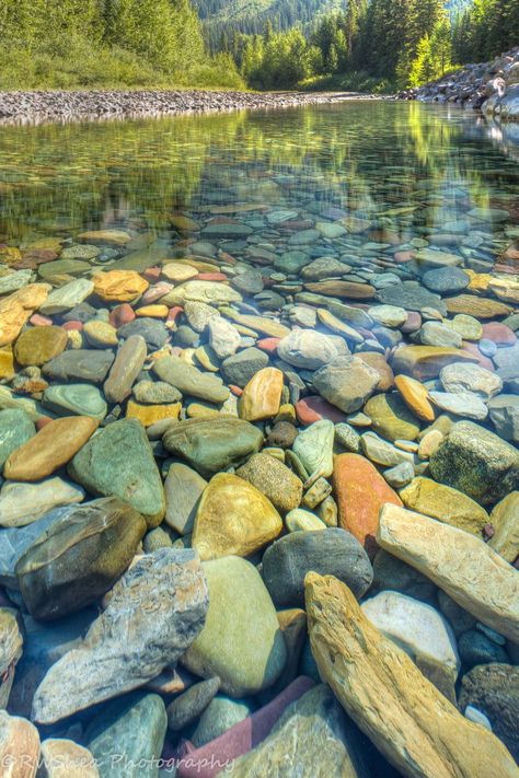 Pebble Shore Lake, River Pebbles, Lake Mcdonald, Glacier Park, Rock And Pebbles, River Stones, Landscape Artwork, Rock Pools, Glacier National