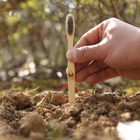 Help the environment, and feel better about your mark on this world with Bamboo Toothbrush! It’s the ecological way to not only keep your mouth fresh for just as long as a normal toothbrush, but help the environment at the same time! Say No To Plastic, Charcoal Toothbrush, Dental Floss Picks, Floss Picks, Bamboo Toothbrush, Biodegradable Packaging, Help The Environment, Bamboo Charcoal, Bamboo Handles