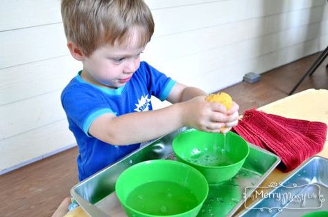 Water Transfer Activity, Montessori Preschool Activities, Water Play Activities, Children's House, Montessori Activities Preschool, Games For, Messy Life, Montessori Elementary, Practical Life Activities