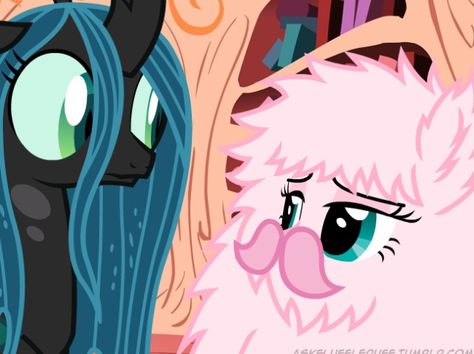 Fluffle Puff is me being the weird person I am and QC is everyone else knowing I'm crazy Fluffle Puff X Chrysalis Matching Pfp, Fluffle Puff Pfp, Fluffle Puff, Fluff Puff Mlp, Chrysalis And Fluffle Puff, Chrysalis X Fluffle Puff, Fluffle Puff Gif, Fluffle Puff X Chrysalis, Mlp Fluffy Puff