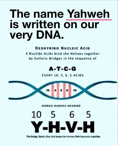 God Is King, Bible Genealogy, Daily Bible Verses, Dna Molecule, Father God, Bible Resources, Hebrew Language, Amplified Bible, Double Helix