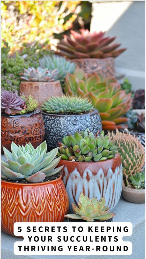 Succulent plants in various decorative pots with text overlay "5 Secrets to Keeping Your Succulents Thriving Year-Round". Garden Succulents Ideas, Suculents Ideas Decoration Pots & Planters, Indoor Succulent Arrangements, Identifying Succulents, Outdoor Succulents, Succulents Ideas, Succulents Care, Care For Succulents, Succulents In Pots