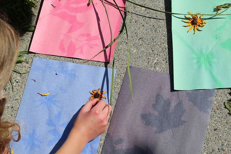 Use the power of the Sun and objects from nature to create beautiful designs. Construction Paper Art, Paper Sun, Sun Paper, Forest School Activities, Tissue Paper Crafts, Sun Prints, Construction Paper Crafts, Science Crafts, Baby Activities