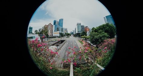 Tips for Mastering the Fisheye Lens | Skylum Blog Fisheye Photos, Wide Angle Photography, Lens Distortion, Large Format Camera, Fisheye Lens, Eye Lens, Tilt Shift, Fish Eye Lens, Fish Eye