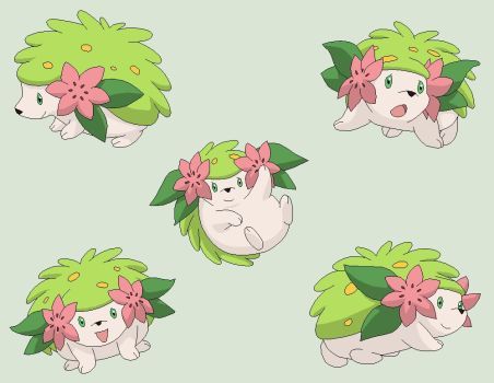 Pokemon Base 66~Shaymin 3~ by Xbox-DS-Gameboy Shaymin Pokemon Art, Shaymin Art, Shaymin Pokemon, Plant Pokemon, Green Pokemon, Clay Inspo, Pokemon Tattoo, Cute Pokemon Pictures, Pokemon Coloring Pages