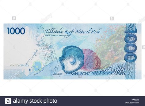 Philippine one thousand peso banknote on a white background Stock Photo: 247568357 - Alamy One Thousand Pesos, One Thousand Pesos Philippines, 1000 Pesos Bill Philippines, Thousand Dollar Bill, 1000 Peso Bill Philippines, Philippine Peso, Disney Princess Memes, Banknotes Money, Flamingo Birthday Party