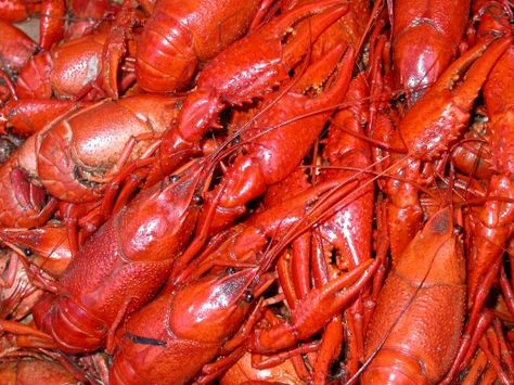 Crawdad Boil, How To Cook Crawfish, Boiled Seafood, Easy Apple Dumplings, Crawfish Recipes, Marinated Salmon, Boiled Food, Soup Chowder, Shell Fish