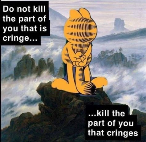 Fat Orange Cat, Garfield Pictures, Garfield Images, Garfield Cat, Hate Mondays, Orange Cat, Cartoon Cat, Reaction Pictures, Funny Images