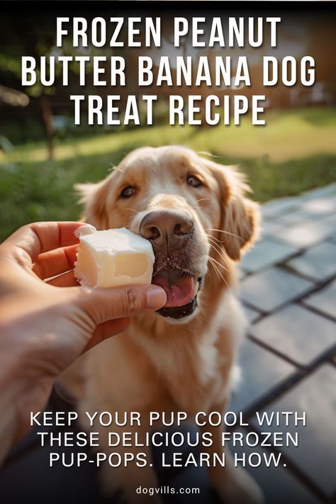 Keep your pup cool with our delicious Frozen Peanut Butter Banana Pup-Pops Dog Treat Recipe. Learn how to combine the creamy goodness of peanut butter with the natural sweetness of bananas to create a frozen treat your dog will love. These Pup-Pops are not only tasty but also offer a healthy, refreshing snack on hot days. #PupPops #FrozenDogTreats #PeanutButterBanana Frozen Peanut Butter Banana, Frozen Dog Treats Recipes, Banana Dog Treat Recipe, Frozen Peanut Butter, Banana Snacks, Dog Treat Recipe, Dog Treats Homemade Easy, Frozen Dog Treats, Refreshing Snacks