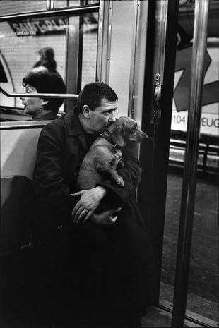 Metro Paris, Paris Metro, Foto Tips, Dachshund Love, Appaloosa, Human Condition, Vintage Dog, Quarter Horse, Black White Photos