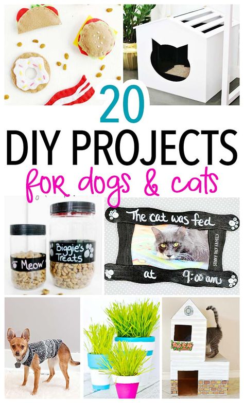 Awesome DIY pet projects you'll want to try if you have a cat, a dog, or both! Find fun DIY toys, treats, and home accents for dogs and cats. Perfect for pet lovers or to make as gifts! Pet Diy Projects, Pet Diy, Dogs Diy Projects, Diy Pet Toys, Diy Dog Toys, Diy Cat Toys, Pet Projects, Cats Diy Projects, Dog Projects