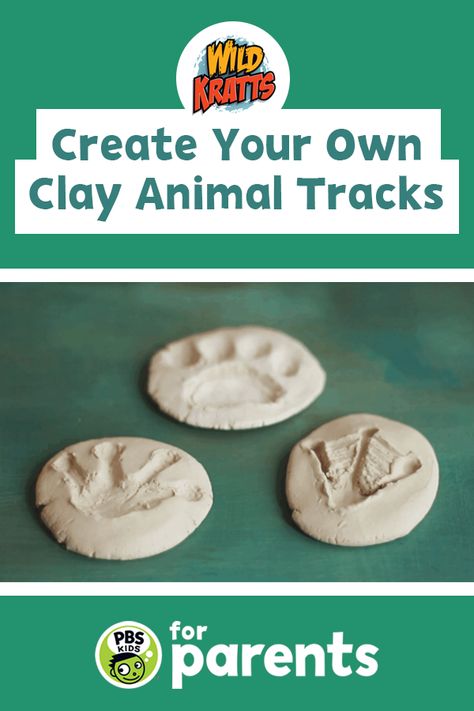 Has your child ever discovered an animal track? Kids can learn about animals and turn their favorite animal tracks into art by imprinting them on clay. When they're done, hang the finished pieces on the wall or gift them to someone special!  #PBSKIDS #PBSKIDSforParents #WildKratts Wild Animals Science Experiments, Elementary Animal Science Activities, Animal Footprint Craft, Zoo Animals Science Activities, Wildlife Stem Activities, Ahg Nature And Wildlife Badge, Mammals For Preschool, Animal Birthday Activities, Zoo Animal Science Preschool