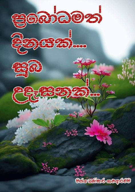 Good Morning Sinhala Wishes, Sparkly Iphone Wallpaper, Good Evening Greetings, Evening Greetings, Good Morning Images Flowers, Morning Wishes, Morning Wish, Good Morning Wishes, My Photo Gallery