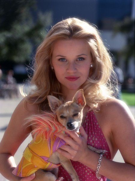 I love Reese Witherspoon in Legally Blonde! Hair Evolution, Mode Rose, Jean Harlow, Elle Woods, Shailene Woodley, Sorority Girl, Sigma Kappa, Farrah Fawcett, Legally Blonde