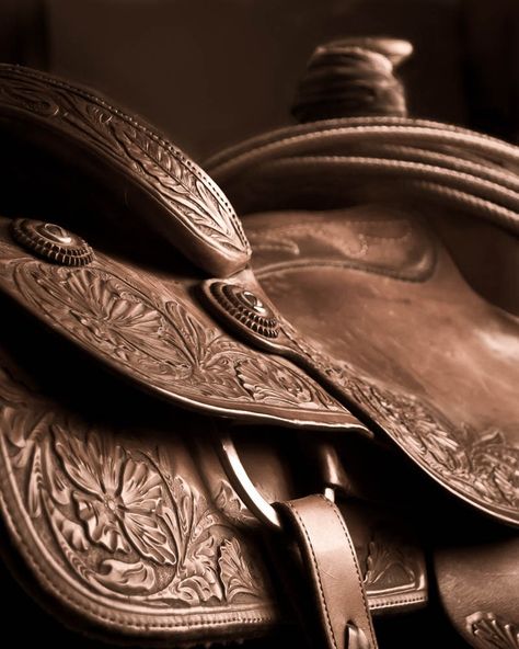 Saddle engraving Western Saddle Aesthetic, Saddle Aesthetic, Saddle Photography, Engraving Designs, Cowboy Photography, Western Artwork, Western Photography, Western Saddles, Western Horse Tack