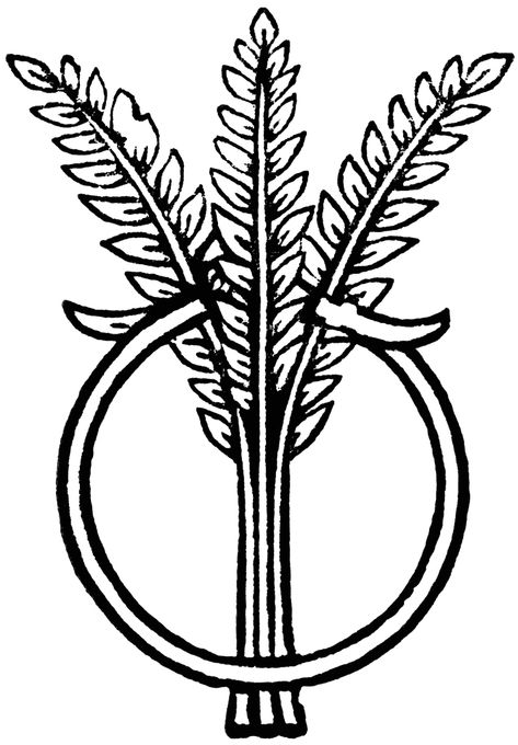 Wheat Coloring Pages - Best Coloring Pages For Kids Wheat Symbol, Wheat Tattoo, Iron Fey, Fairytale Food, Pizza Cookies, Farm Coloring Pages, Best Coloring Pages, The Bible Movie, Wheat Sheaf