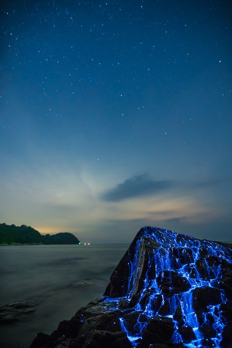 lue Rivers of Bioluminescent Shrimp Trickle Down Oceanside Rocks in Okayama, Japan || photo series by the creative duo Trevor Williams and Jonathan Galione of Tdub Photo Nature Lockscreen, Places To Visit In Japan, Mind Blowing Pictures, Okayama Japan, Sea Of Stars, Colossal Art, Wallpaper Animes, Okayama, Blue River