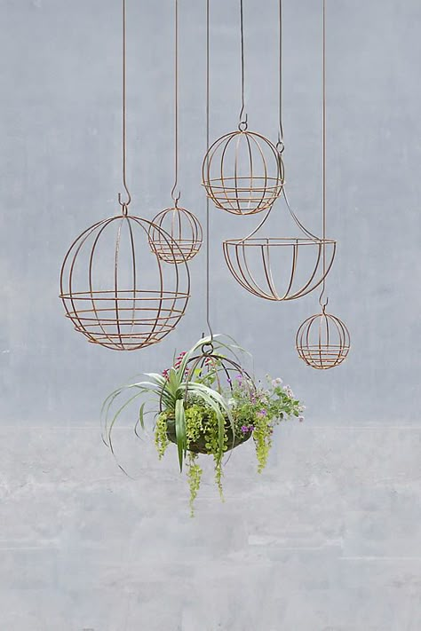 Hand-forged in California especially for terrain, these solid steel hanging baskets are designed with an extra-deep planting area so soil and plants won’t dry out. Perfect for lining with moss and hanging together for a descending display, each basket will arrive with a weathered, rusty patina. | Sphere Hanging Basket, 20" by Terrain in Beige at Anthropologie Care Basket, Rust Patina, Basket Liners, Outdoor Gifts, Creative Living, Hanging Basket, Hand Poured Candle, Flower Planters, Natural Gifts