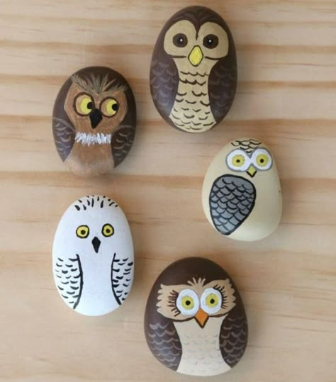 102 Rock Painting Ideas to Spark Your Creativity Owl Pebble Art, Cute Rock Painting Ideas Easy Animals, Animal Rock Painting Ideas, Bird Rock Painting, Rock Painting Animals, Vintage Painting Ideas, Pebble Painting Ideas, Owl Rock Painting, Cool Rock Painting Ideas